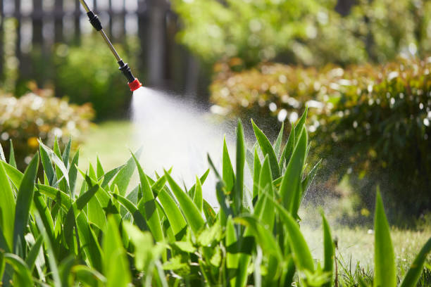 24/7 Emergency Mosquito Control experts in Bessemer City, NC