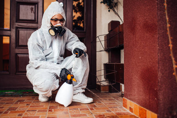 Reliable Mosquito Control contractor in Bessemer City, NC by Nex Pest Control